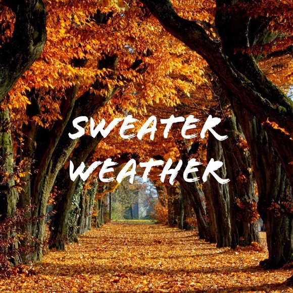 Bundle up and save - Picture 1 of 1